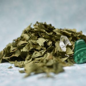 Cassis (Ribes nigrum)