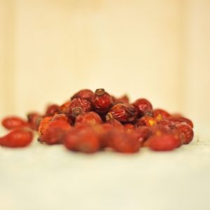 Cynorrhodon (Rosa canina)