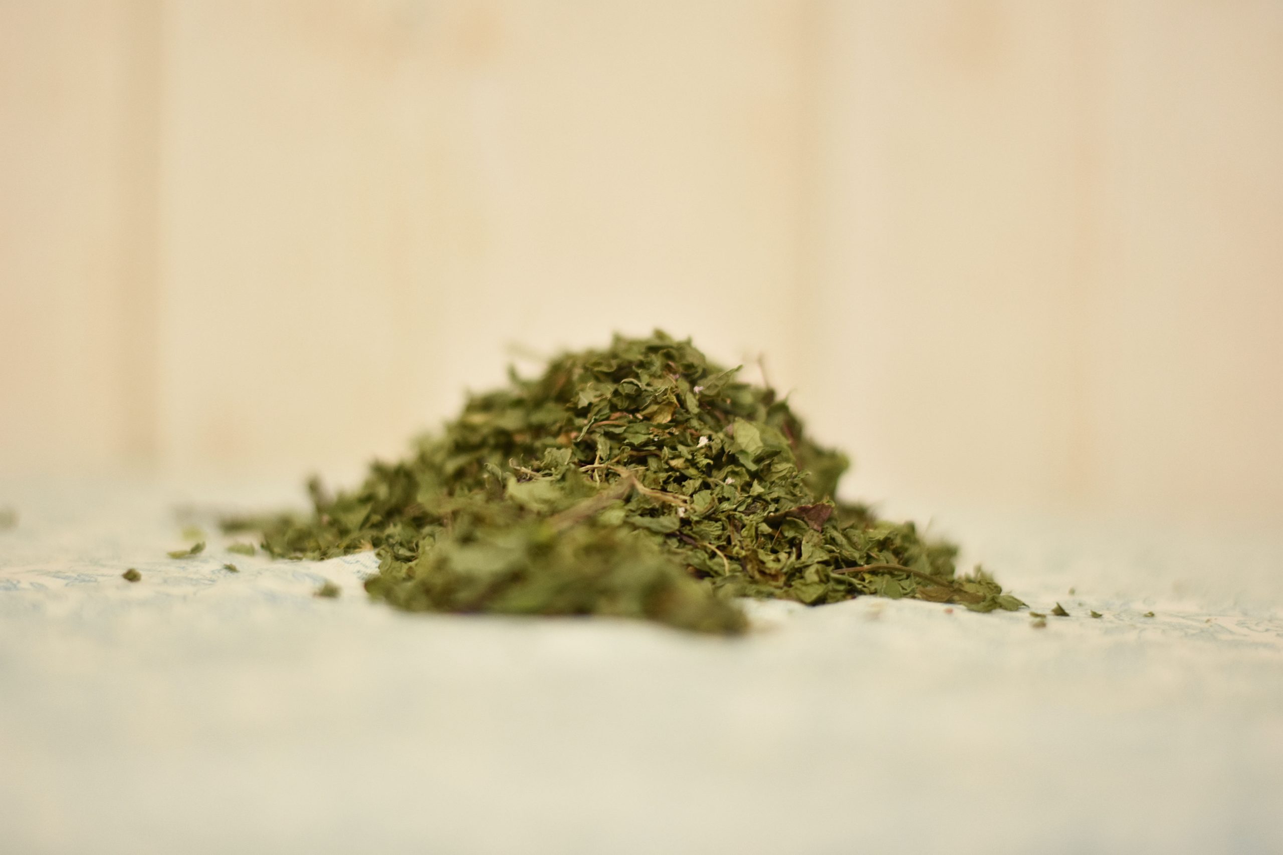 Menthe verte (Menthe spicata)