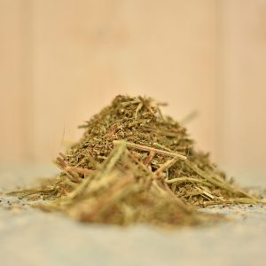 Achillée millefeuille (Achillea millefolium)