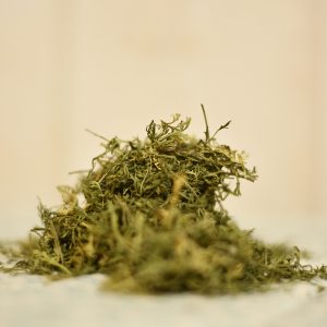 Armoise commune (Artemisia vulgaris)